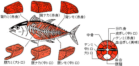 まぐろ部位